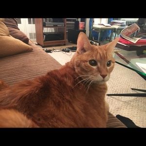 Meet your Posher, Beth